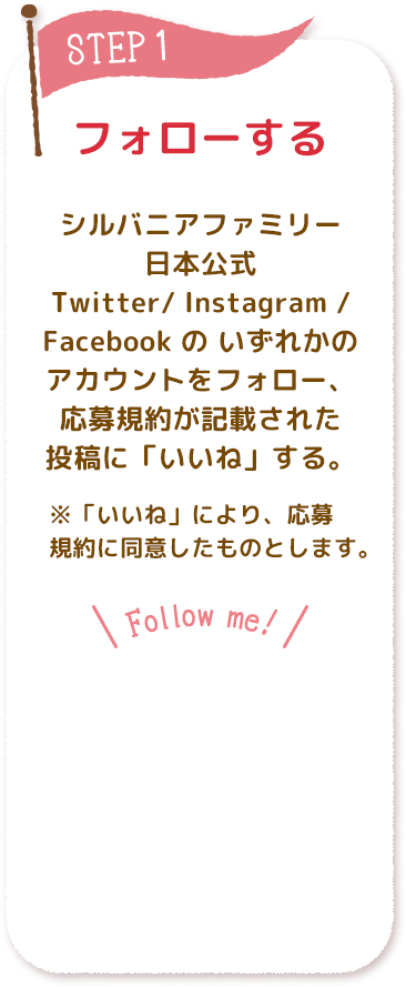 フォローする シルバニアファミリー日本公式 Twitter/ Instagram / Facebook の いずれかのアカウントをフォロー、応募規約が記載された投稿に「いいね」する。